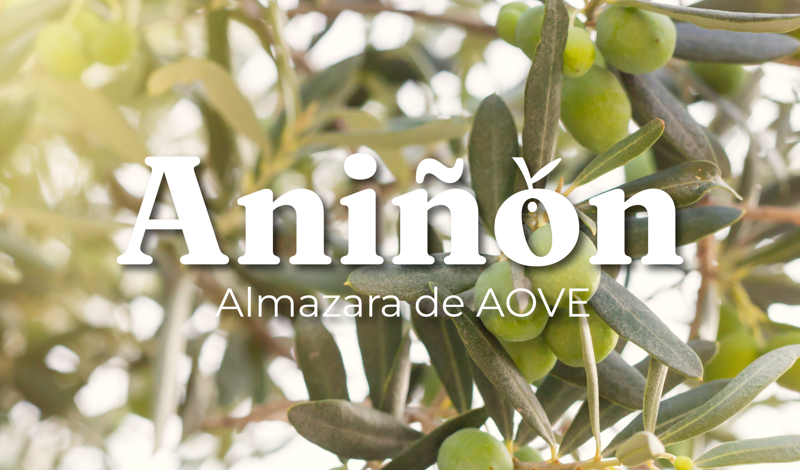 Logotipo para Aniñón Almazara